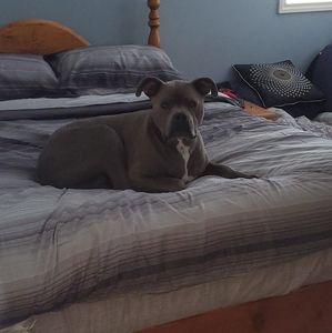 Meet your Posher, Leeann